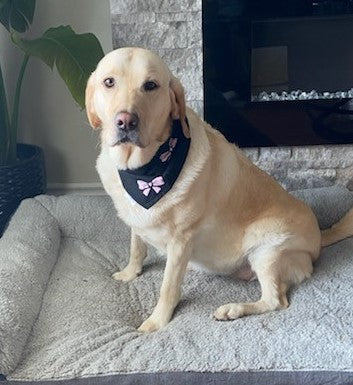 The Little Bow Peep Bandana