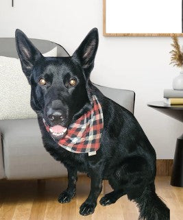 Plaid fashion bandana